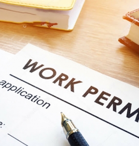 CÁC LOẠI GIẤY PHÉP LÀM VIỆC - WORK PERMIT